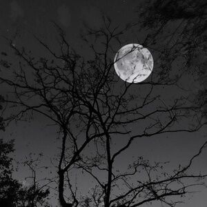 Meet your Posher, Suhmeek